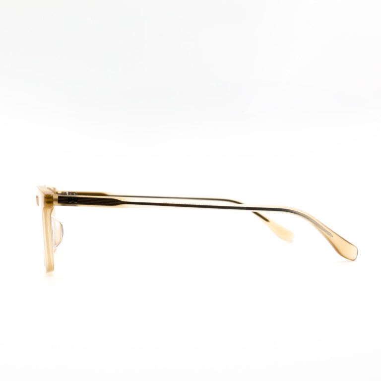 Acetate Optical Frames | CH8013