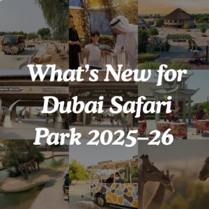 Dubai Safari Park | Golden Opportunity for wholesale suppliers and retailers