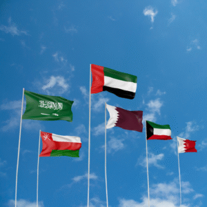 5 Steps to Start Wholesale Eyewear Business | D Marjan Opticals