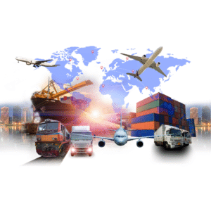 Eyewear Manufacturer UAE | D Marjan Opticals | wholesale supplier